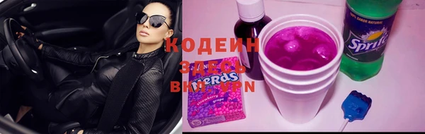 таблы Бородино